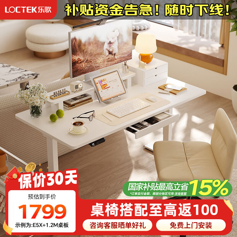 乐歌双电机电动智能升降桌台式电脑办公桌学习桌家用书桌 E5X|白腿+白色桌板 桌板尺寸|1.4*0.7m