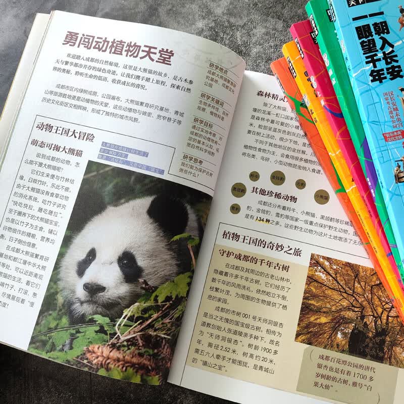 图 6