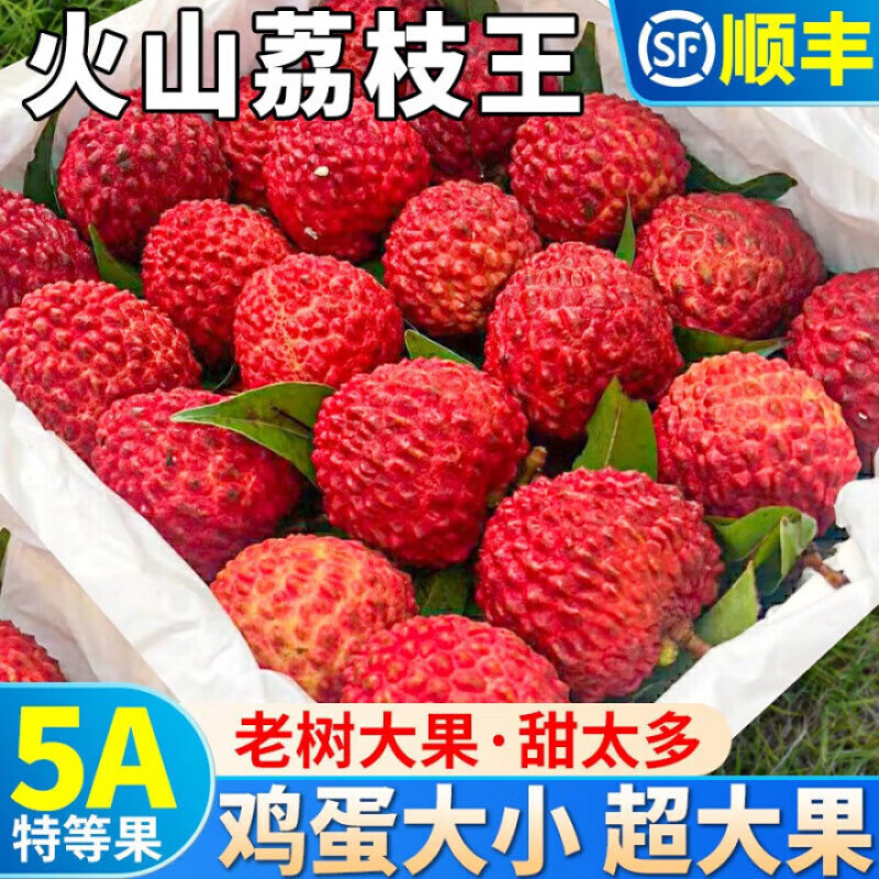 壹萌果蔬海南火山荔枝王超大【JD/顺丰闪送】新鲜荔枝水果礼盒端午送礼盒 3斤超级巨无霸【6-8个/斤】净2.5斤