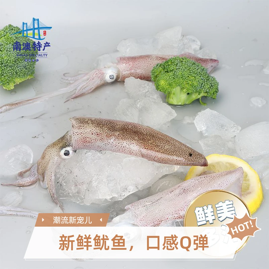 井澳南澳特产 大灯管鱿鱼新鲜速冻原产地发货运动海产 100g(净重)