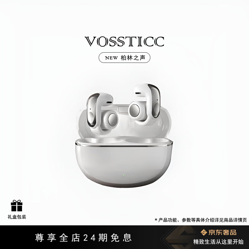 VOSSTICC【柏林之声】蓝牙耳机 骨传导概念无线开放式 跑步运动耳机通话降噪夹耳适用于华为小米苹果 银色【OPEN A NEW ERA】