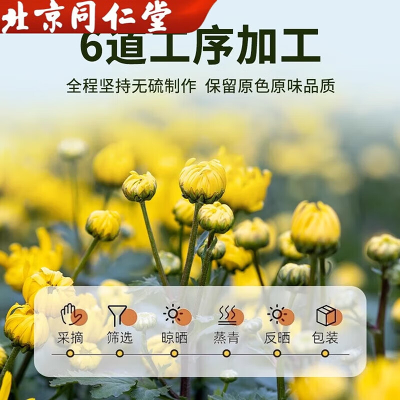 朕皇北京同仁堂菊花茶胎菊杭白菊特级无硫野菊花养生凉茶泡水去火明目 【3盒装】50g/盒