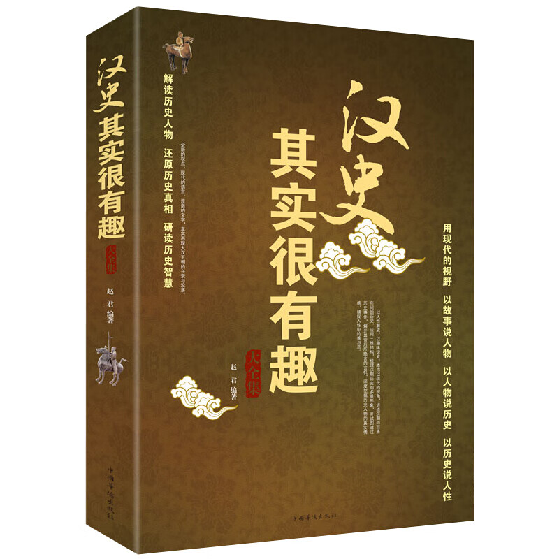 汉史其实很有趣大全集 大汉王朝历史书籍汉朝那些事儿 原来是这样