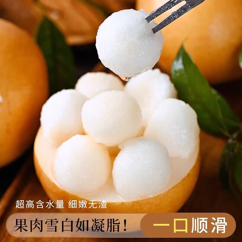东鲜丰山东秋月梨礼盒冰糖梨脆甜梨子当季新鲜水果礼盒中秋送礼送人整箱 净重4.5斤【单果300g+】普箱