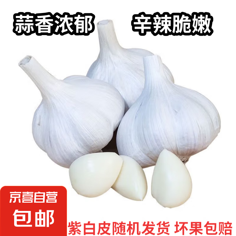 紫白皮蒜水果大蒜小龙虾三文鱼烧烤调料超市即食蔬菜大蒜 干蒜5头 100g 单果3.5-5cm