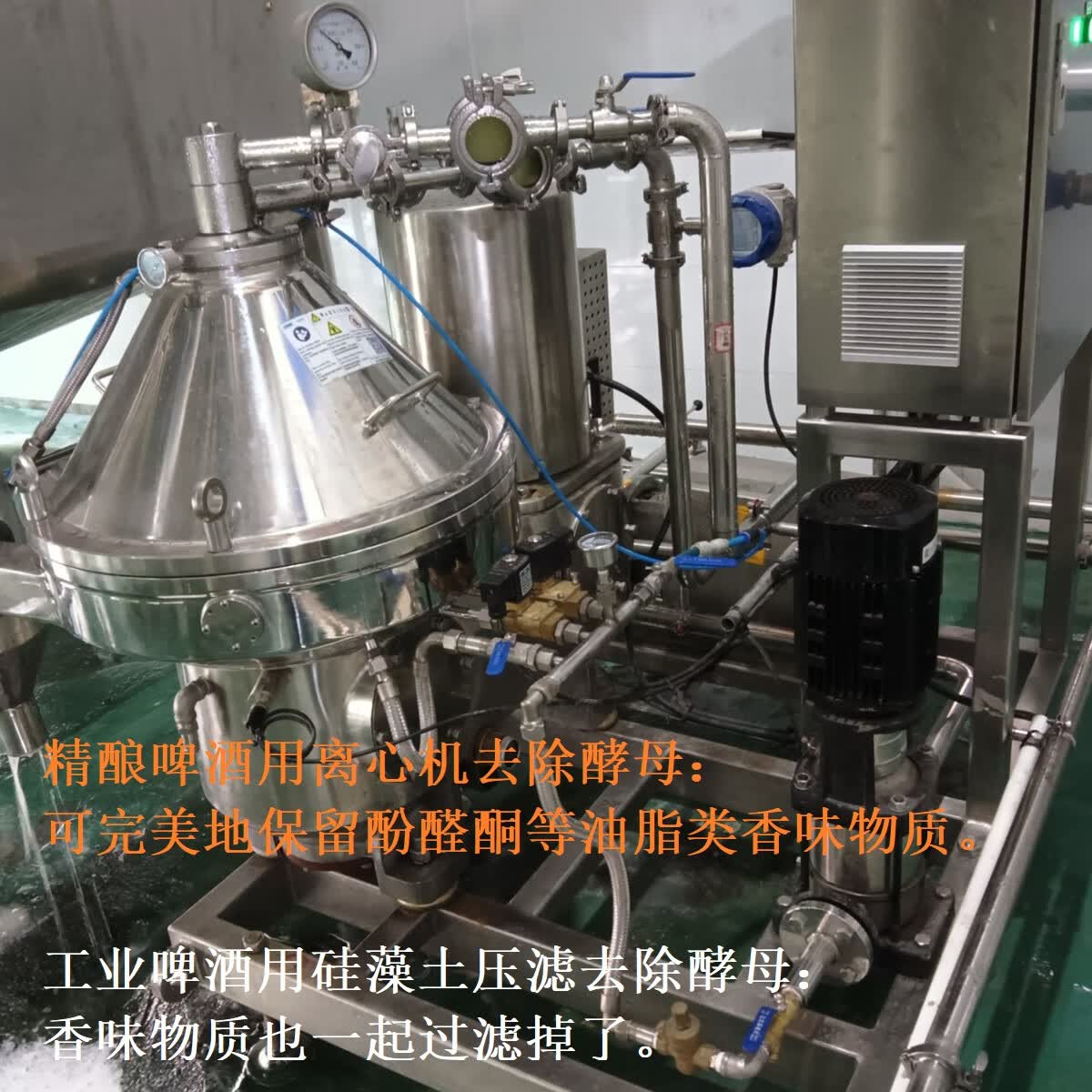 德穗原浆啤酒 2罐 泡沫纸盒装12P  990ml （首创2酒花3酵母发酵） 12P原浆啤酒 990mL 2罐 泡沫盒+纸箱装 2酒花3酵母发酵 服务安心保障显示