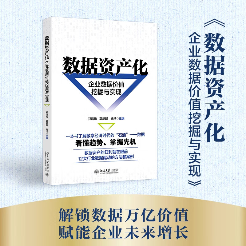 【当当正版书籍】数据资产化：企业数据价值挖掘与实现(一本书了解数字经济时代的“石油”-数据，12大行业数据驱动的方法和案例)