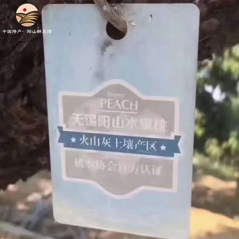 阳山水蜜桃 正宗无锡阳山水蜜桃 时令水果桃子新鲜水果端午节日礼盒 一级果4-5两12个礼盒净重4.8斤多
