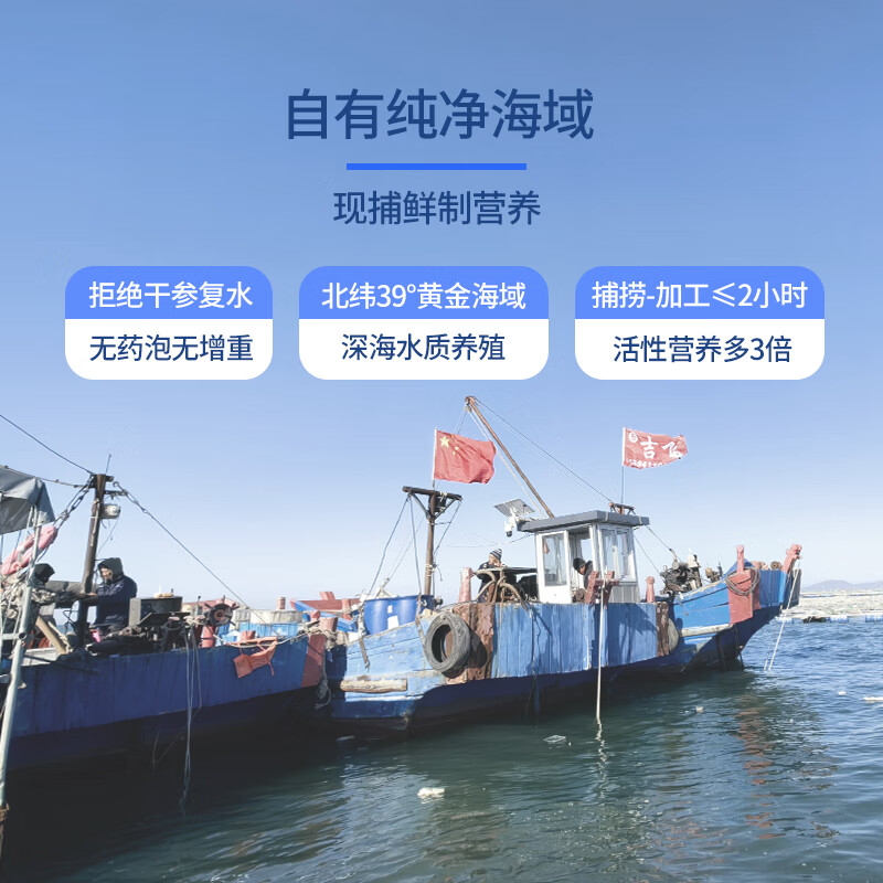 天吉岛大连即食海参底播固形物80%辽参冷链直达送长辈商务滋补佳品礼物 500g【21-27只】个头小数量多经济划算