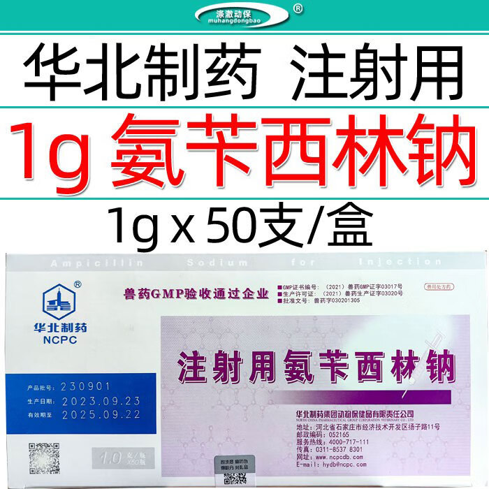 兽药兽用1克注射用氨苄西林钠猪牛羊肠炎腹泻黄白痢咳喘嗜血杆菌
