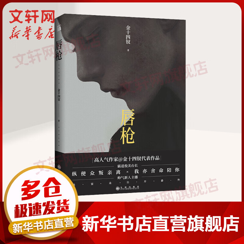 唇枪 耽美小说晋江高人气作家金十四钗小说【赠人物海报 金句贴纸