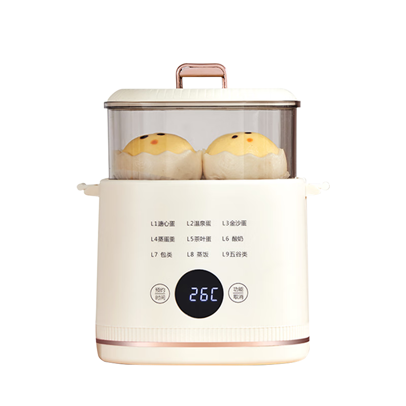 RASW ���������� ����