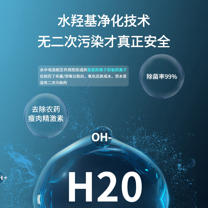 冰尊(BENSHION)果蔬清洗机家用洗菜机除菌99%羟基水离子食材净化机果蔬解毒机净化器M6 机器标配
