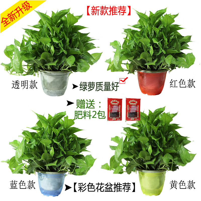 ������������������ڻ������Դ������������������������ֲ�ļ����� 180#����4�����ɫ��ˮ��+����2��