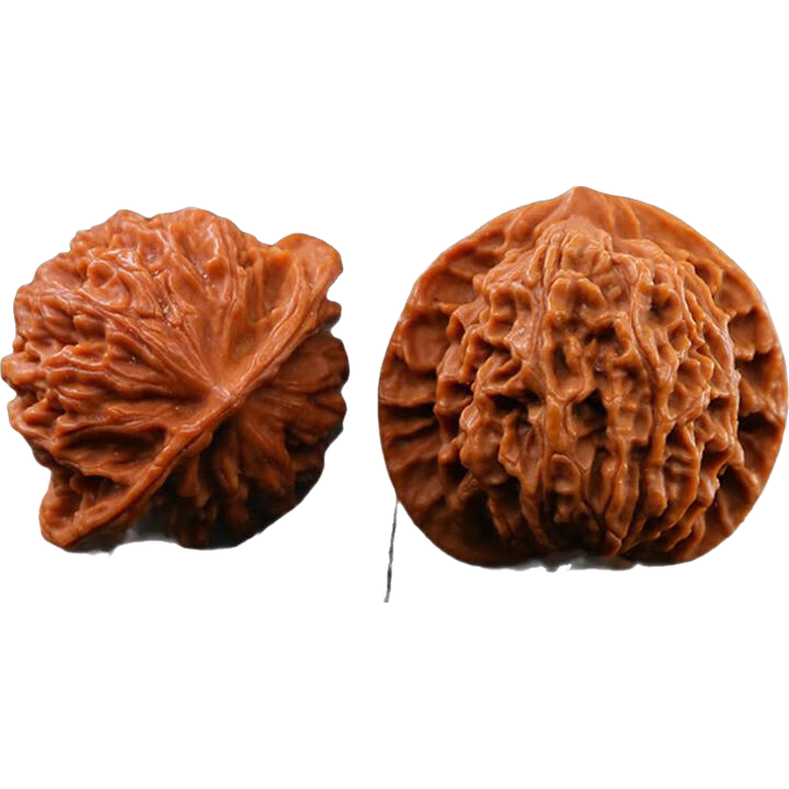 ����������̰���������Ƽ������ʨ��ͷ���˽�����������Ů�� �����ʨ��ͷһ��42mm 21.6Ԫ