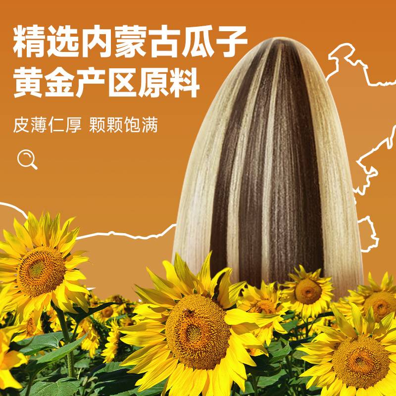 徽記煮瓜子五香瓜子內(nèi)蒙大顆葵花籽毛嗑500g堅果炒貨出游零食小吃 山核桃瓜子408g*2袋