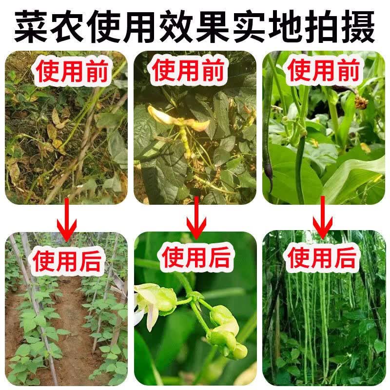 豆角水溶肥豆角叶面肥提高座果豆角拉长拉直水溶肥料农用正品 荚多宝【500g/2瓶】