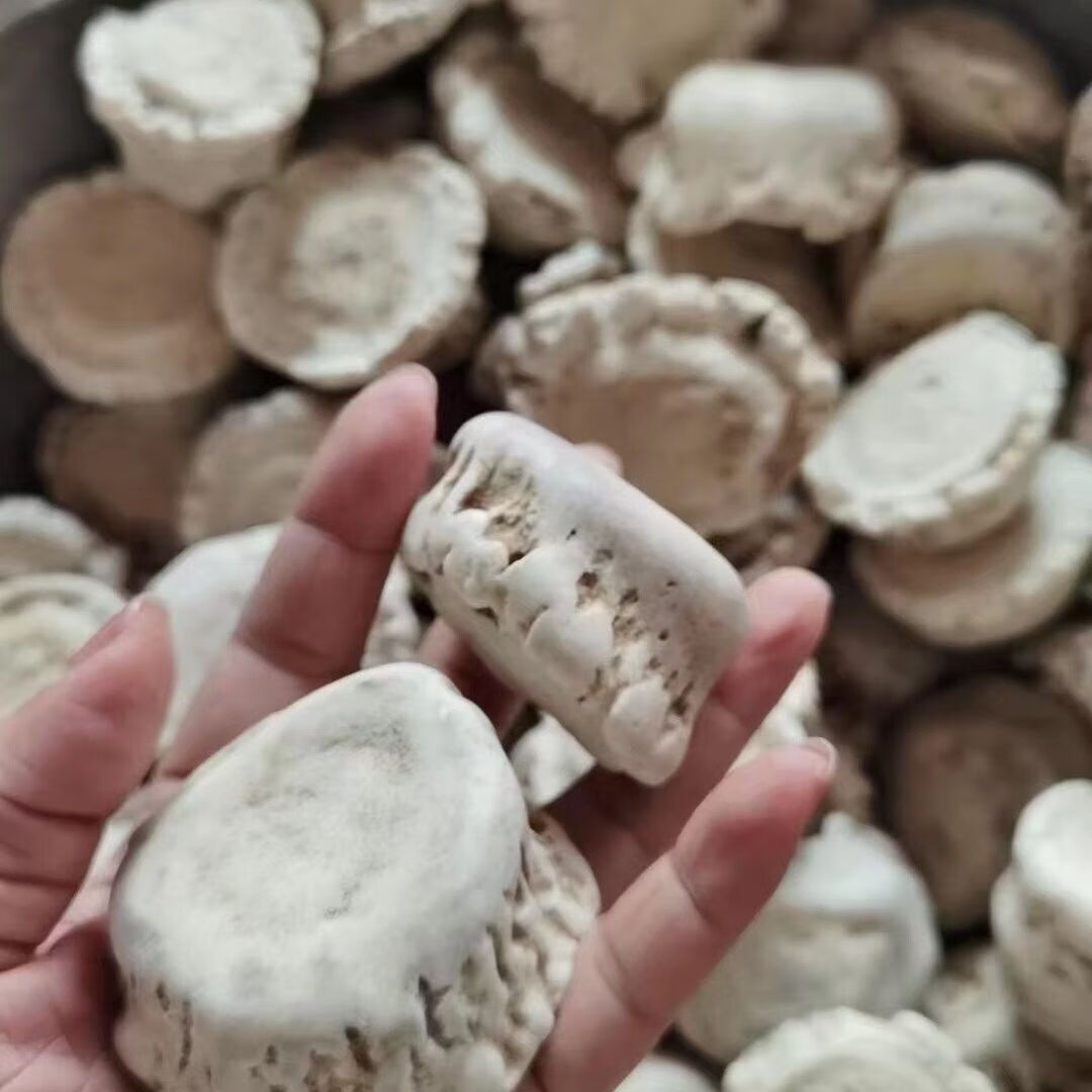 北京同仁堂鹿角帽鹿托盘梅花鹿整个角帽不打粉老偏方原生态产品鹿 梅花鹿整个自然脱落500克