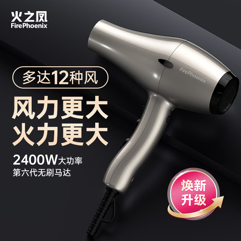 火之凤吹风机6600X 发廊专用大功率2400W大风力低噪音家用恒温护发不伤发 理发店专业电吹风筒家电 6601X钛金灰负离子2m线长 (家庭版四档风)