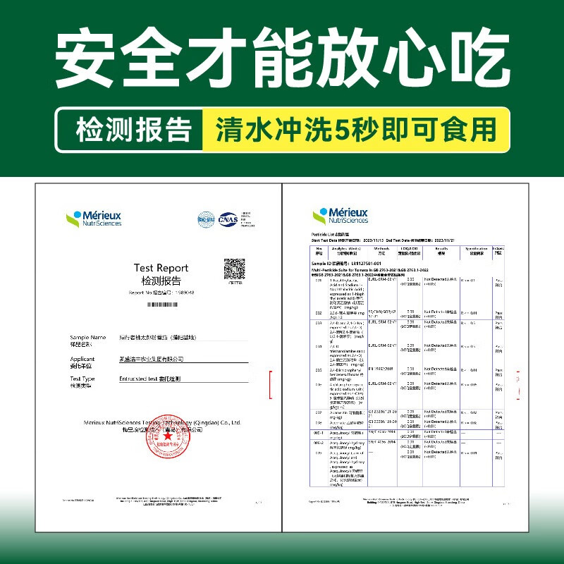 绿行者（GREER）老味道番茄沙瓤生吃番茄 自然熟新鲜西红柿水果蔬菜 粉番茄 山东 粉番茄 3斤 （实惠中果）