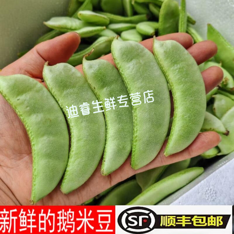桃西村  新鮮峨眉豆蛾眉豆紅眉豆現(xiàn)摘紫扁豆青皮鵝米豆耳朵豆角蔬菜 1000g