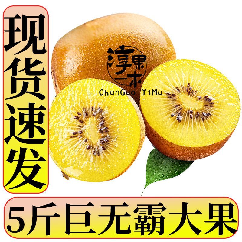 淳果一木 黄心猕猴桃5斤巨无霸大果