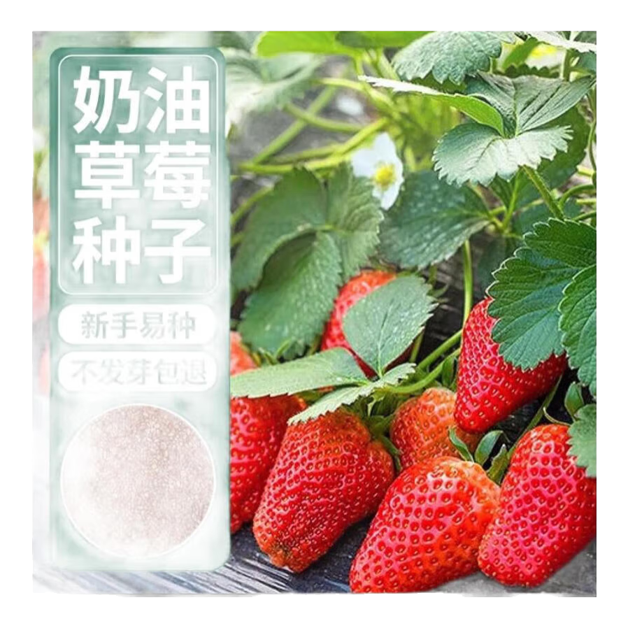 �ļ����Ͳ�ݮ�����Ӵ����ͥ��̨������������ˮ�����ݮ���Ӵ�ȫ ���ͺ��ݮ����/��Լ100�� 3�� 9Ԫ