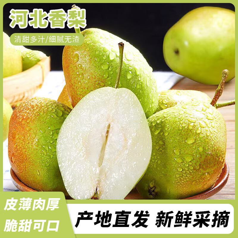 河北赵县香梨 带箱5斤