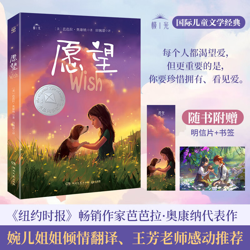 【王芳老师推荐】愿望 婉儿首部文学译作 学会面对情绪、接纳自己的成长故事 《纽约时报》畅销书作家芭芭拉奥康纳代表作 愿望
