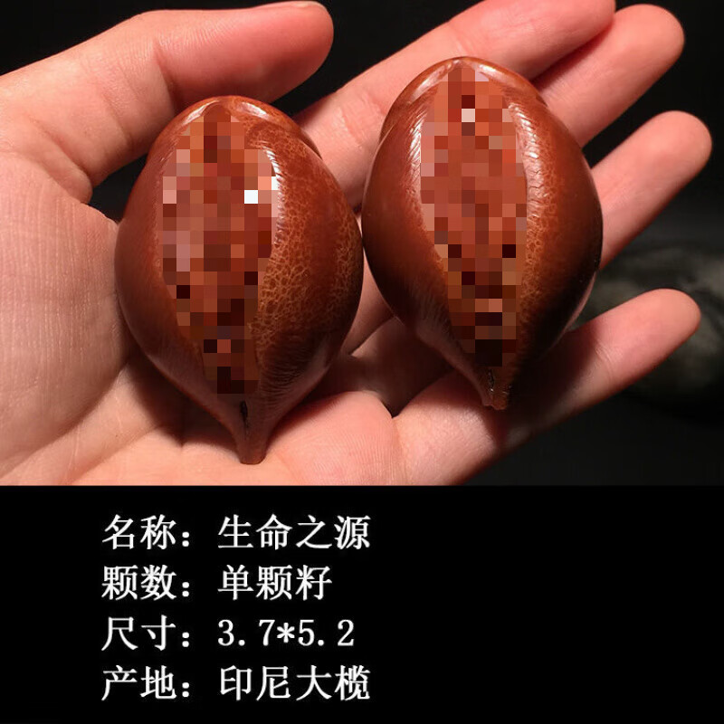 �������魺��ִ����ŵ�׹ӡ��������֮Դ�����ְѼ���魺˵���Ů���� ����֮Դ���ѵ���