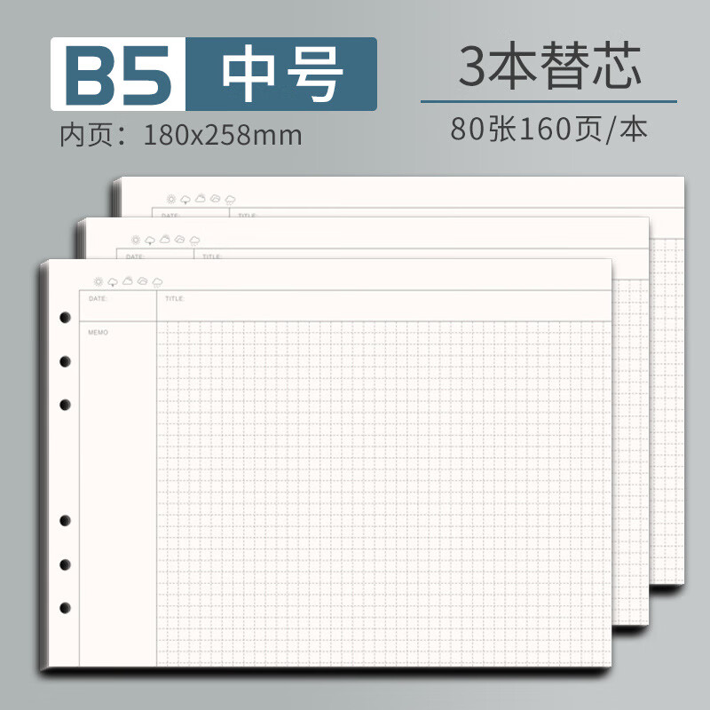 白金麗人思維導(dǎo)圖活頁(yè)強(qiáng)迫癥帶模版加厚A4大號(hào)康奈爾可拆卸記事本六 B5替芯3本