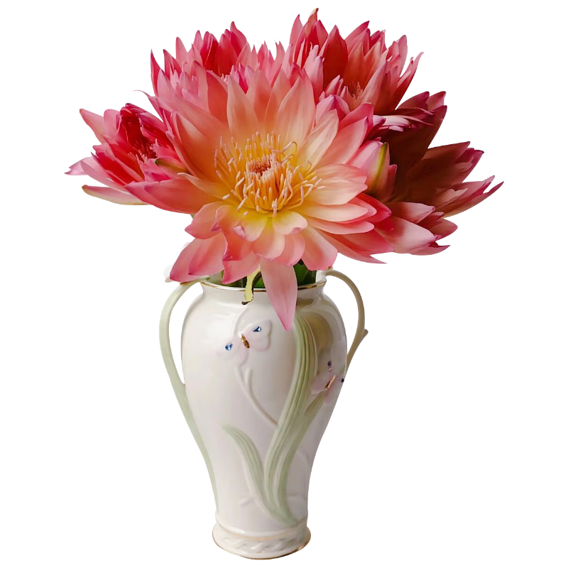 �����ʻ�����ɺ��˯��5֧�㶫�ʻ�����ֱ������Ʒ��˯����Ů��Դͷֱ��	