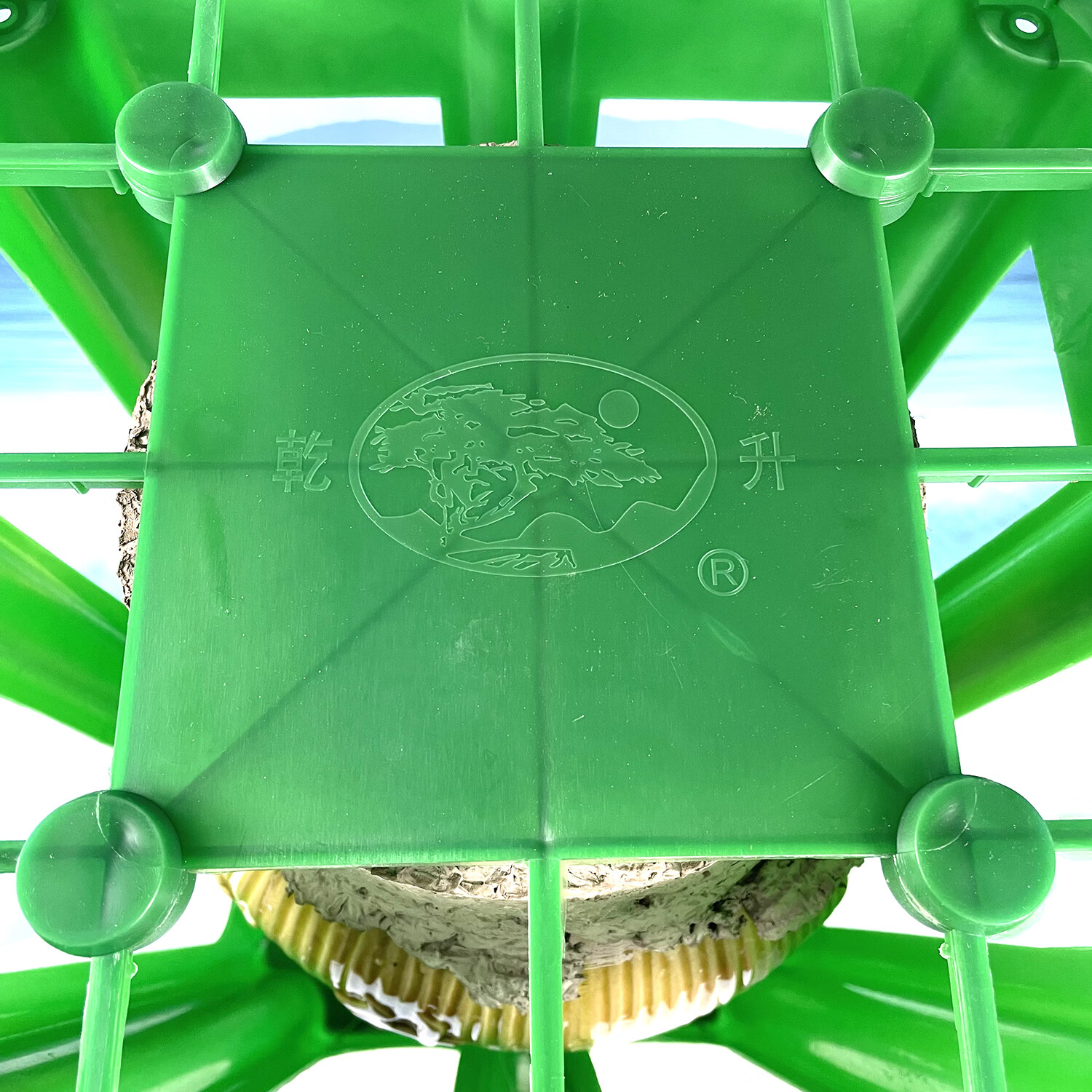 乾升浙江老字号大坛白酒5L装10斤左右50度清香纯粮酿造口粮酒泡中药 50度 5L 1坛