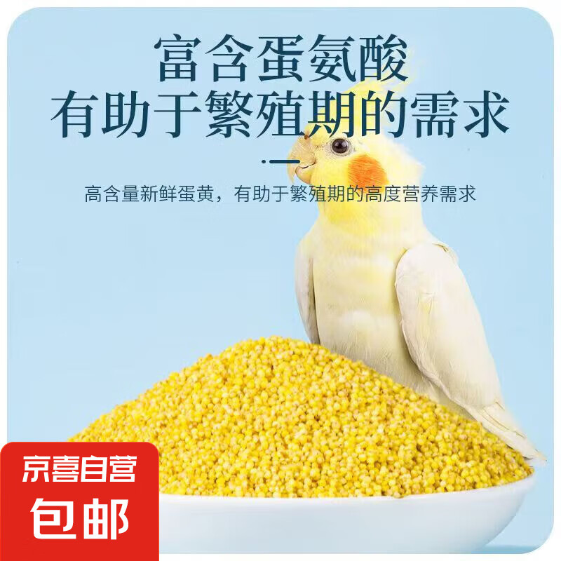 再降价：虎皮鹦鹉饲料鸟食玄凤谷子牡丹粮食文鸟带壳小米黄雀鸟粮 新鲜农家小米100克