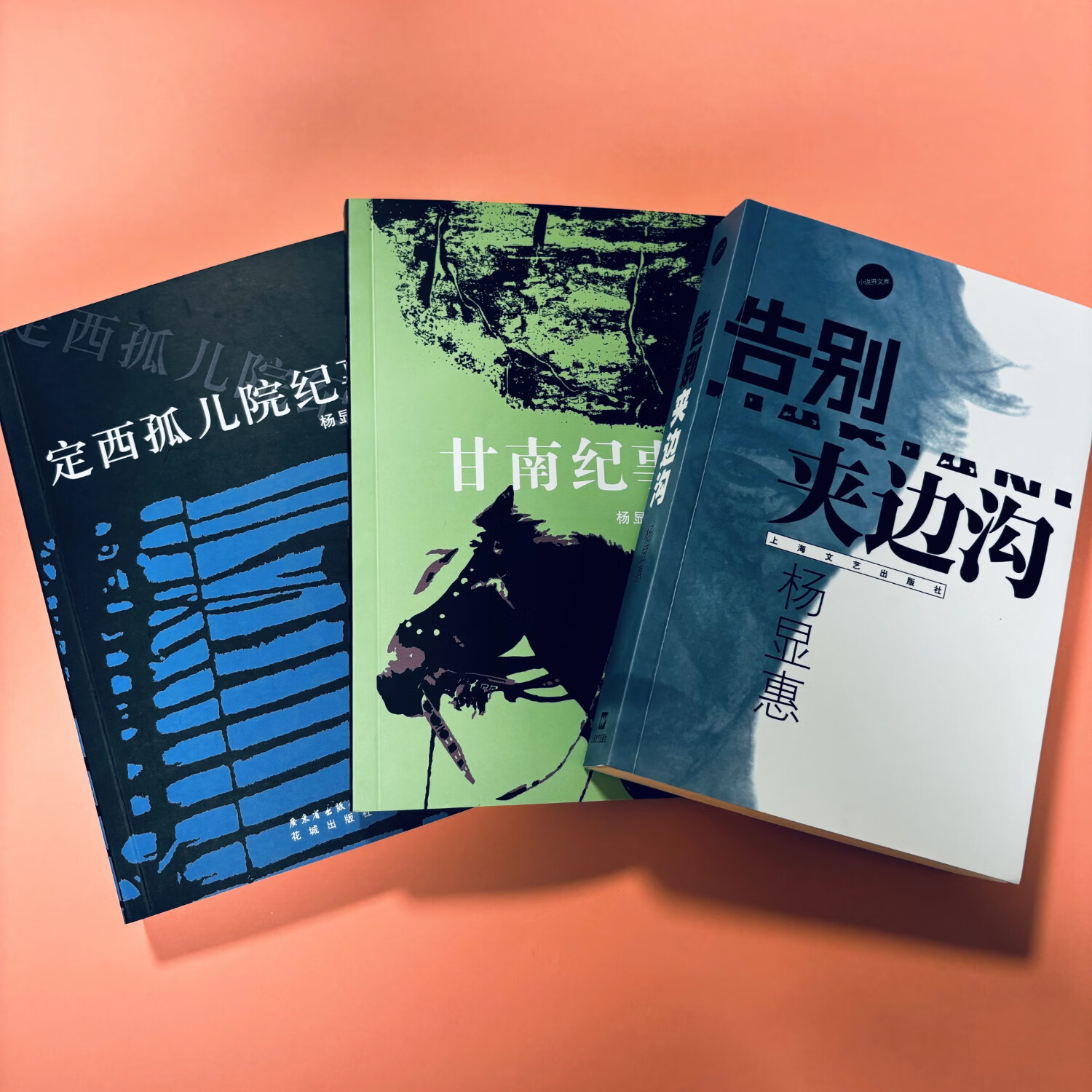 《夹边沟》+《定西孤儿院纪事》+《甘南纪事》 杨显惠 著 花城出版社全3本(稀缺正版书售价高于定价介意者慎拍可开发票) 京东折扣/优惠券