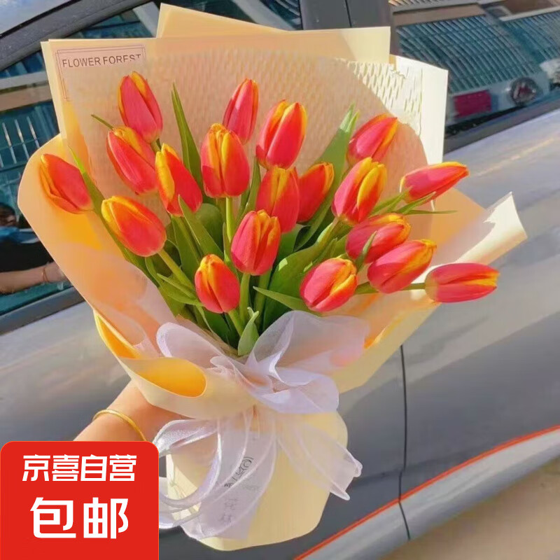 ���������������ļ��������ͺ�5��������������ˮ�����Ի���ֲ�� ���ں������ں�ɫ�Ʊߴ��� 1����������