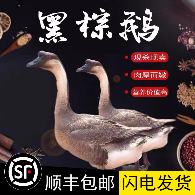 廣東新鮮現殺5-8斤黑棕鵝整只馬岡鵝光鵝草鵝棚鵝生冷凍 整只黑棕鵝去內臟(帶掌亦)5-6斤