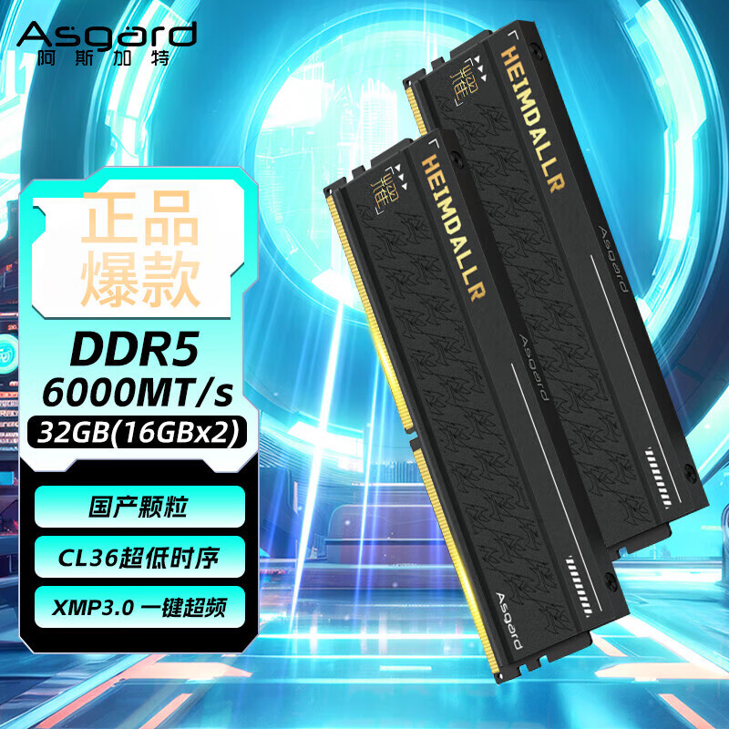 阿斯加特（Asgard） 48GB(24GBx2) DDR5 6000 台式机内存条 海姆达尔 马甲条 海力士M-die CL28 黑厚甲 6000 C36 海姆达尔x耀 国产颗粒 32GB 2条套条