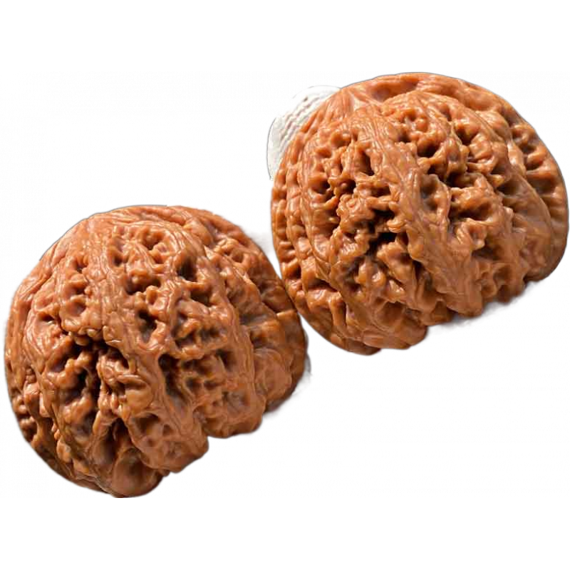 御文者文玩核桃大粗筋獅子頭平谷官帽盤玩把玩男士手把件精品麻核桃 大粗筋33mm+六件套