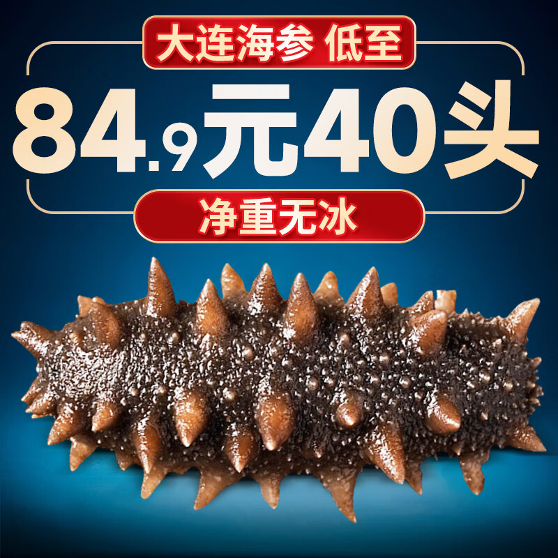 渔游记即食海参大连辽刺参深海辽刺参海参水产海鲜送礼 7A辽参35-45头/斤