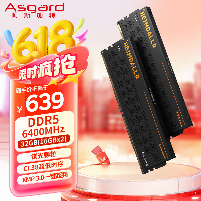 阿斯加特（Asgard）32GB(16GBx2) DDR5 6400 台式机内存条 海姆达尔 马甲条 镁光颗粒 CL38 黑厚甲