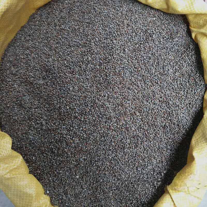 贵州特产酥麻籽农家种生酥麻黑苏麻籽引子油性酥麻子 5斤