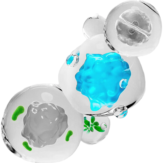 ������ѡ �������ڿ�ɰ��ζ�־�èɰ ������ʦ 18kg 169Ԫ