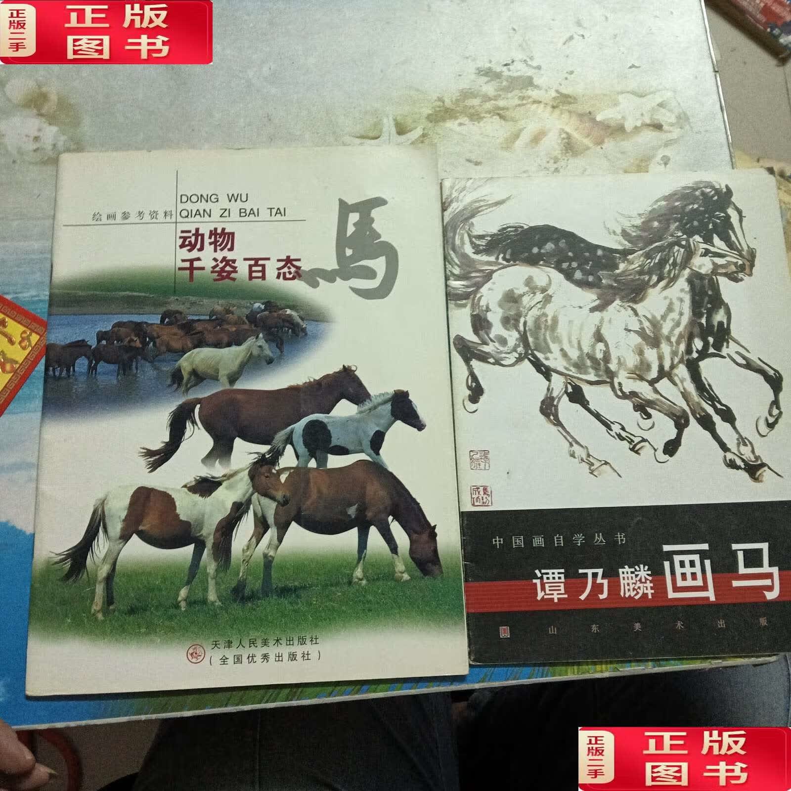 【二手书九成新】动物千姿百态 马 [摄影集]【谭乃麟画马】 /黄庆军