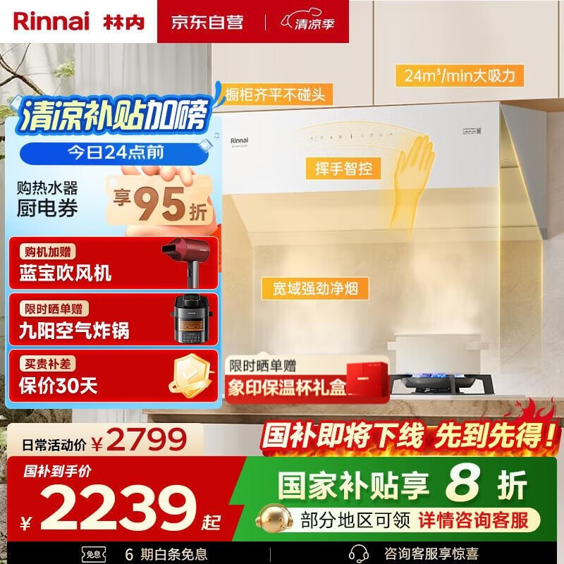 ���ڣ�Rinnai�������ֶ֡���ɫ�����̻����ҵ���Ҳ���20%������ʽ����24m?���������������ǿ������ 10JD(W)
