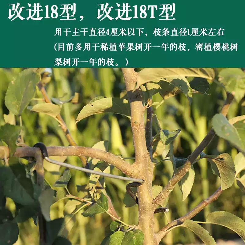 旭杉斯果树拉枝器定型器花卉月季压弯开角别枝神器苹果樱桃树m型拉枝