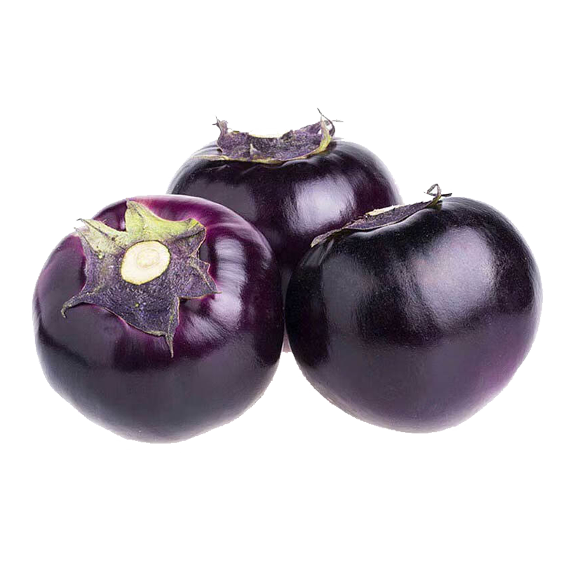 ���ڲ����������� ɽ�������� Բ�� ����5�ﵥ��250��+�����߲�Դͷֱ�� 24.9Ԫ