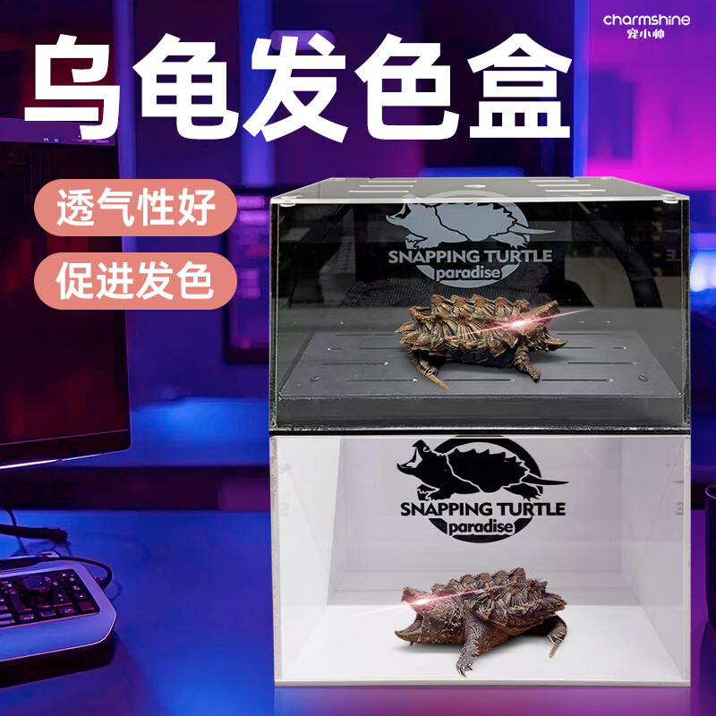 寵小帥烏龜發(fā)色盒家用佛鱷龜飼養(yǎng)箱底濾沉淀板防逃爬寵隔離盒帶蓋烏龜缸 【酷感黑】發(fā)色盒+沉淀板 20x20x15cm【中號】