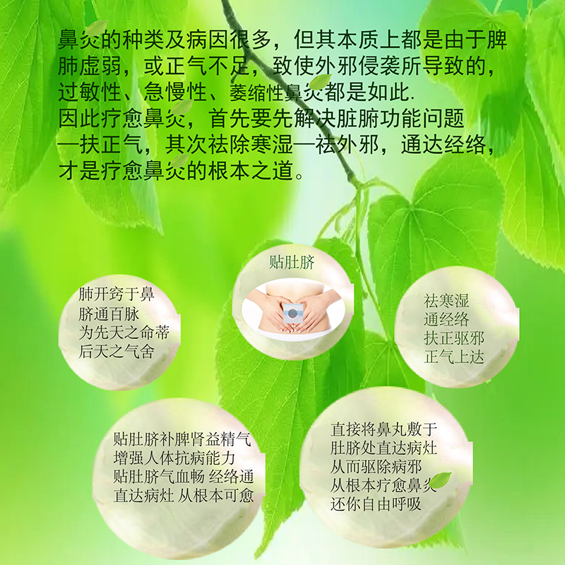 喜乐至 本草堂儿童成人鼻炎肚脐贴过敏性鼻炎鼻窦炎鼻甲肥大鼻贴通气神器鼻炎贴 二盒一个疗程 一盒6贴