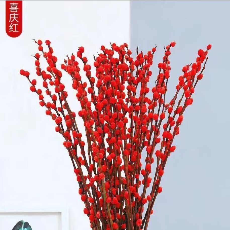 花e流银柳真花鲜枝室内红色喜庆年宵花卉新年干花植物盆栽客厅摆件装饰 【中国红】银柳40CM高10枝 2小灯笼
